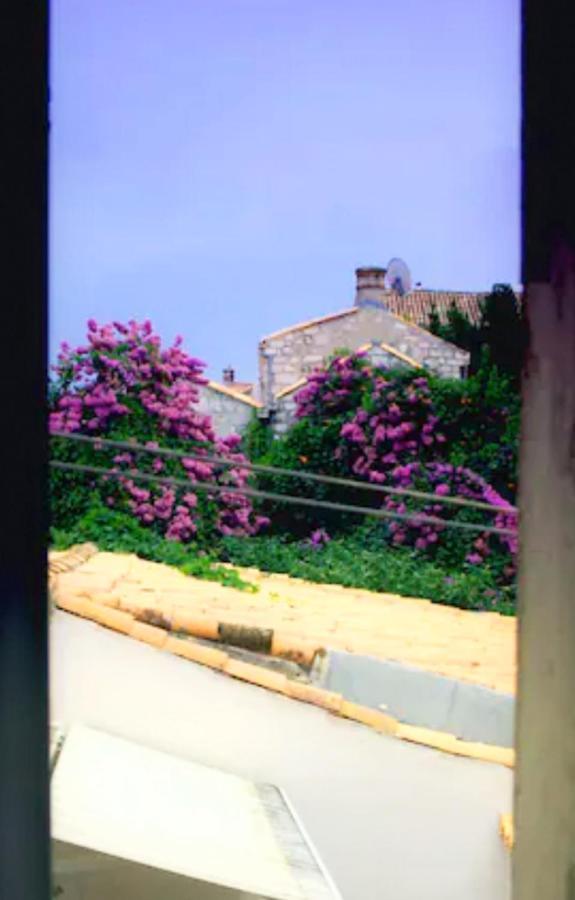 Old Town Centar, Cozy And Quiet Modern Apartment Dubrovnik Dış mekan fotoğraf